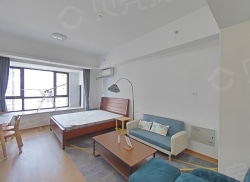 整租·常熟凤凰城 1室1厅 南_常熟凤凰城租房