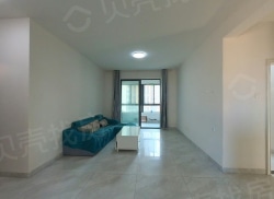 整租·宝能城三期 3室1厅 南_宝能城三期租房