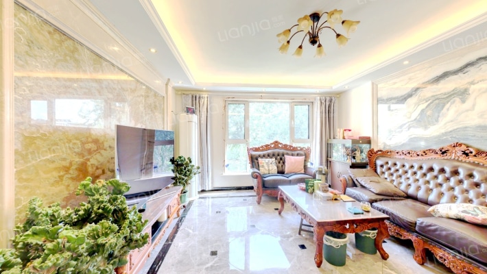 华丽庭院二手房实景图