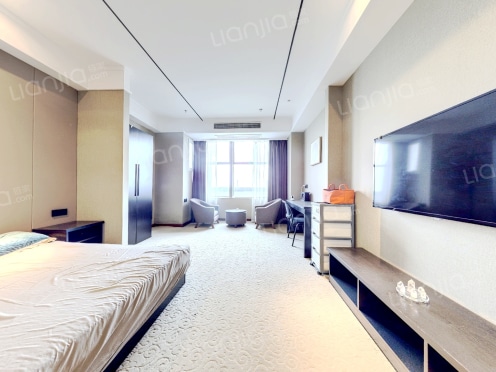 整租·绿景苏州公馆 1室1厅 北