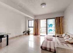 整租·百捷中央领地 2室1厅 南_百捷中央领地租房