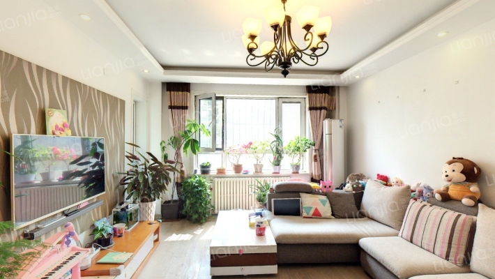 嘉安边防家园二手房实景图