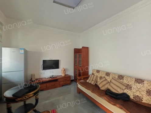 整租·康乃馨国际老年生活示范城 1室1厅 南/北