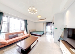 整租·中泰财富湘江 1室1厅 南_中泰财富湘江租房