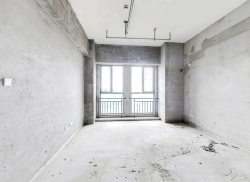 整租·禹洲嘉誉公元 1室1厅 南_禹洲嘉誉公元租房