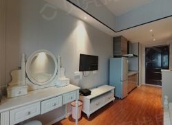 整租·万达广场 1室1厅 南_万达广场租房