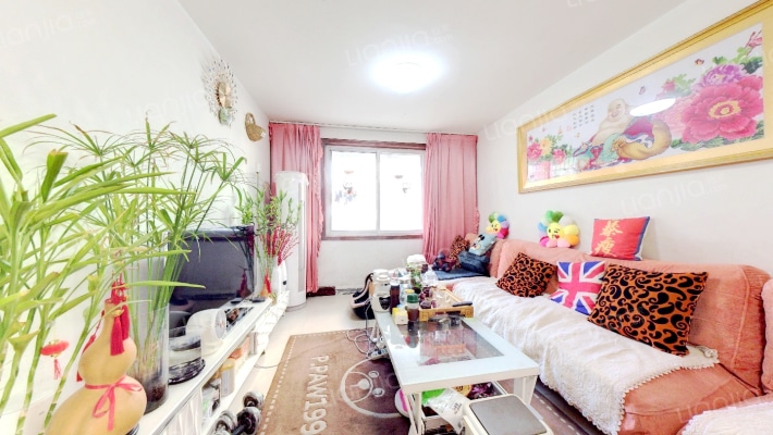 南学街36号院二手房实景图