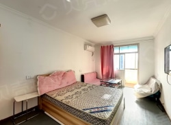 整租·孙蒋新村 1室1厅 南_孙蒋新村租房