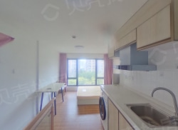 整租·星河壹号公馆 1室1厅 东南_星河壹号公馆租房