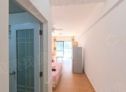 整租·雪梨星光 1室0厅 南_雪梨星光租房