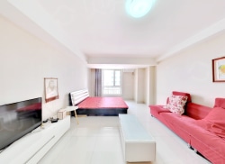 整租·金宇新天地 1室1厅 南_金宇新天地租房