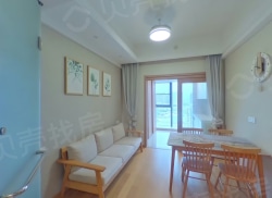 整租·建邺吾悦广场 1室1厅 南_建邺吾悦广场租房