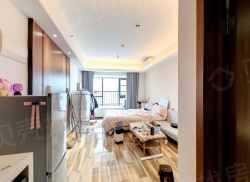 整租·正商寓见铭筑 1室1厅 南_正商寓见铭筑租房