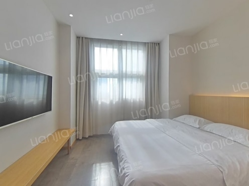 整租·立德绿筑空间 1室1厅 南