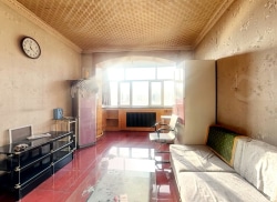 整租·新金原小区南区 2室2厅 南/北_新金原小区南区租房