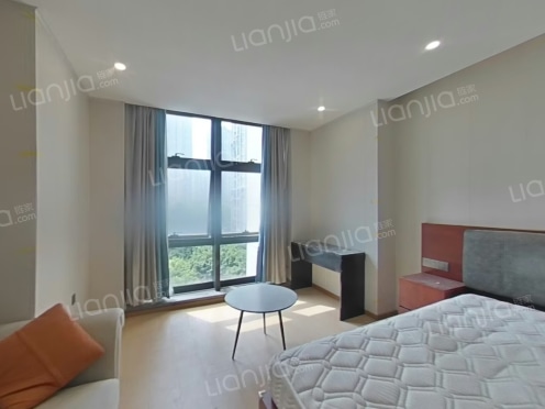 整租·财信北岸铂寓 1室1厅 南