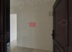 整租·碧桂园·未来星荟 3室2厅 南_碧桂园·未来星荟租房