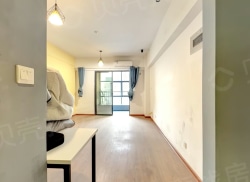 整租·湖边御景 1室1厅 南_湖边御景租房