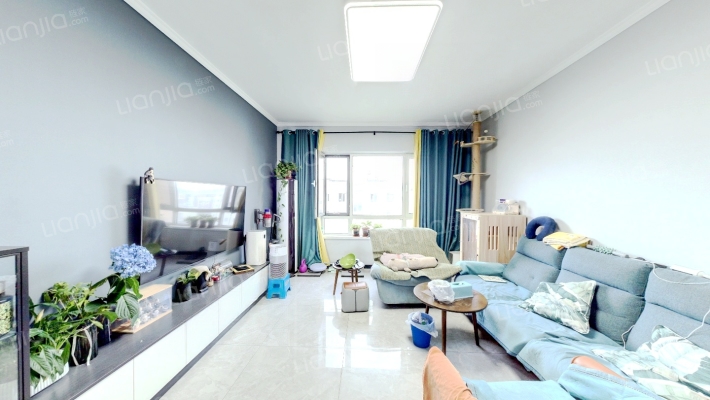 远洋新干线二手房实景图
