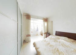 整租·星海街 1室1厅 南_星海街租房