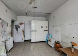 整租·龙西 1室1厅 南/北_龙西租房