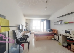 整租·盈科广场 1室1厅 南/西_盈科广场租房