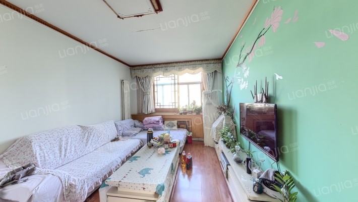 园田小区二手房实景图