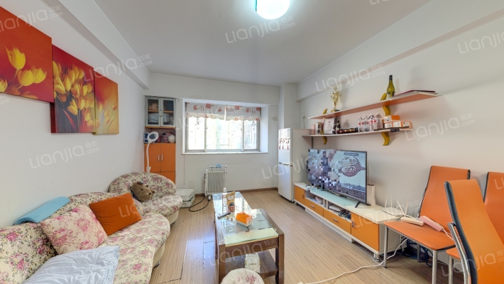 托乐嘉单身公寓二手房实景图