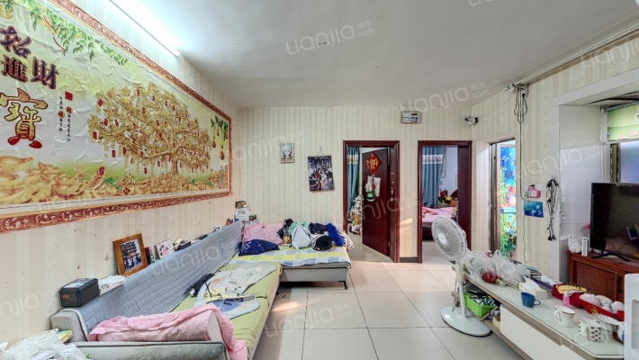 桔园小区二手房实景图