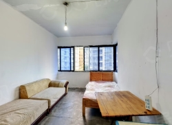 整租·和平街 1室1厅 东北_和平街租房