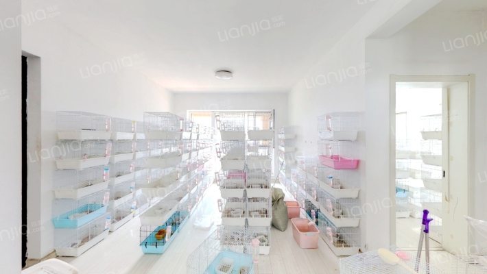 碧桂园银河城星荟二手房实景图