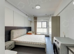 整租·鑫恒广场 1室1厅 南_鑫恒广场租房