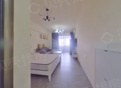 整租·晶都国际 1室1厅 南_晶都国际租房