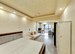 整租·龙都春天 1室1厅 南_龙都春天租房