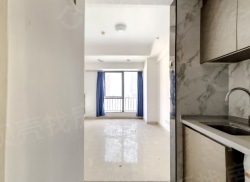 整租·万达广场 1室0厅 南_万达广场租房