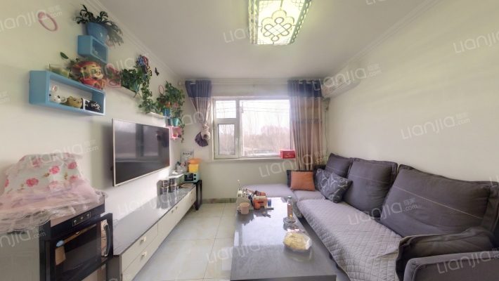 大禹华邦B区二手房实景图