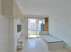 整租·绿洲半岛北岸 1室1厅 南_绿洲半岛北岸租房