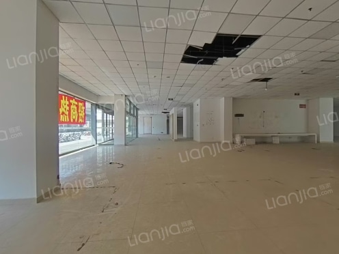 整租·圣仑大厦 1室1厅 南