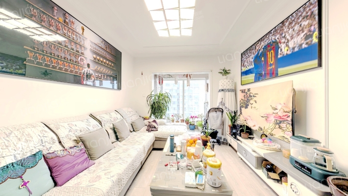 蓝光金悦天娇二手房实景图