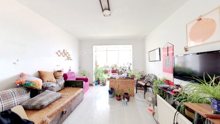 冶金宿舍小区二手房实景图