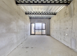 整租·盛世国际二期 1室0厅 复式 南_盛世国际二期租房