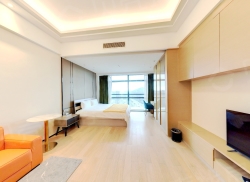 整租·中冶盛世国际广场 1室0厅 东北_中冶盛世国际广场租房