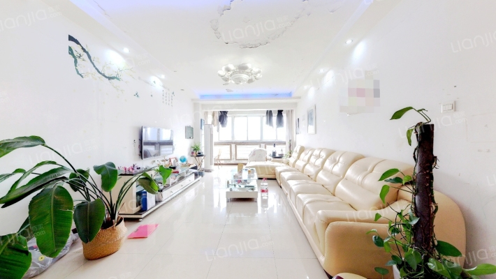 百合花公寓二手房实景图