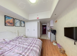 整租·万达晶座 1室1厅 南_万达晶座租房