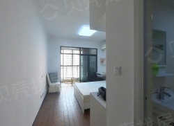 整租·彩霞满天 1室1厅 东南_彩霞满天租房