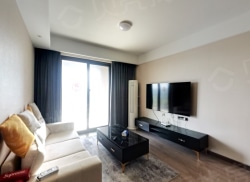 整租·海上传奇 3室2厅 南_海上传奇租房