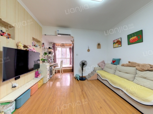 整租·金强大学城 1室1厅 东南