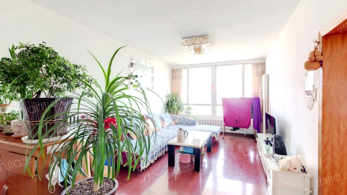 金石小区二手房实景图