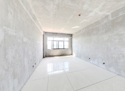 整租·王府广场 1室0厅 西_王府广场租房