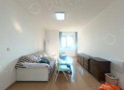 整租·秦淮人家(建设中) 3室2厅 南_秦淮人家(建设中)租房